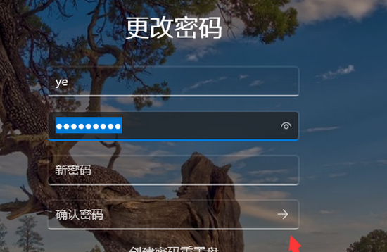 win11电脑开机密码怎么取消 win11电脑开机密码取消方法