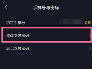 抖音支付密码怎么修改 抖音支付密码修改教程