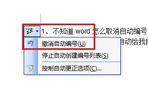 word怎么取消自动编号 word自动编号怎么取消