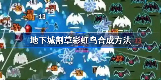 地下城割草怎么合成超武彩虹鸟 地下城割草彩虹鸟超武合成方法