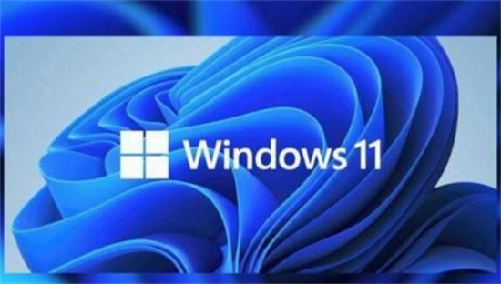 win11小组件问题加载不出来怎么办 win11小组件加载不出来解决方法