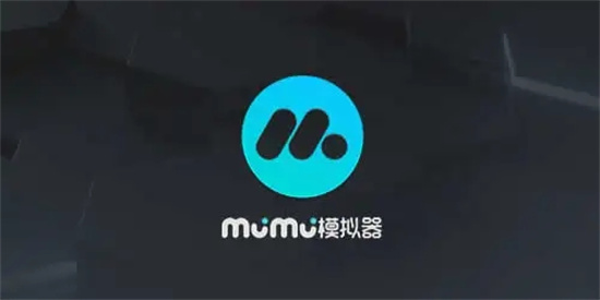 mumu模拟器win11无法安装怎么办 mumu模拟器win11无法安装解决教程