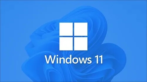 win11专业版和家庭版哪个好 win11专业版和家庭版选哪个