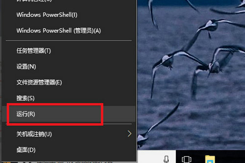 win10开机启动项怎么添加程序 win10开机启动项添加程序方法