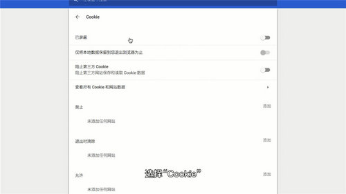 win10浏览器cookie怎么开启 win10浏览器cookie开启方法