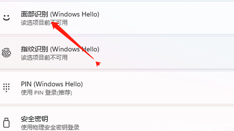 windows11人脸识别如何开启 windows11人脸识别开启教程