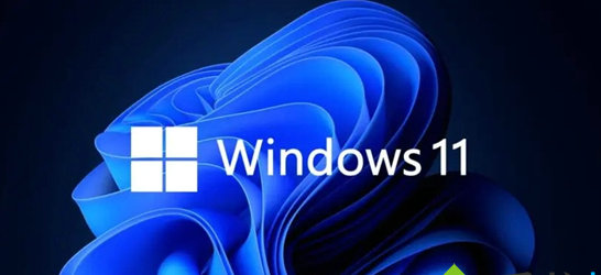 win11重置网络后wifi不见了怎么办 win11重置网络后wifi不见了解决方法