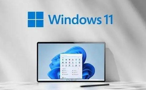 win11九月最新正式版更新推送 windows11最新正式版本号22000.978