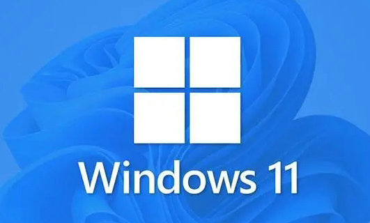 win11专业工作站版与专业版有什么区别 win11专业工作站版与专业版区别介绍