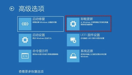 win11开机崩溃怎么退回10 win11开机崩溃退回10的方法介绍