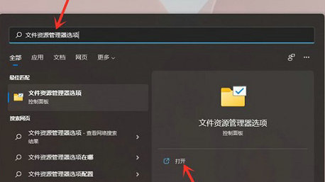 windows11文件后缀名怎么显示 windows11文件后缀名显示教程