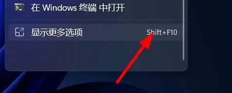 win11显示更多选项怎么直接显示 win11显示更多选项直接显示教程