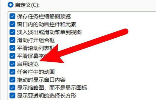 win11系统怎么开启速览功能 win11系统开启速览功能方法介绍