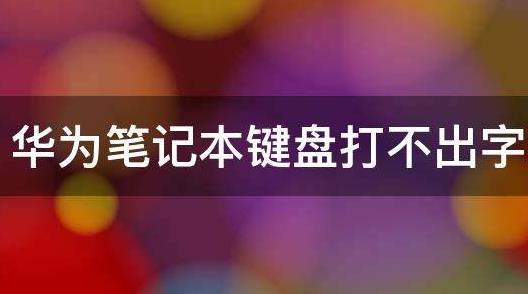 华为笔记本Windows10家庭版键盘打不了字怎么办 华为笔记本Windows10键盘打不了字解决方法