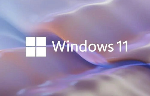 win11系统怎么跳过联网界面 win11系统跳过联网界面教程