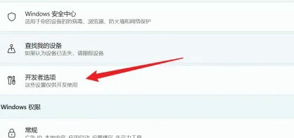 win11开发者选项在哪 win11开发者选项位置介绍