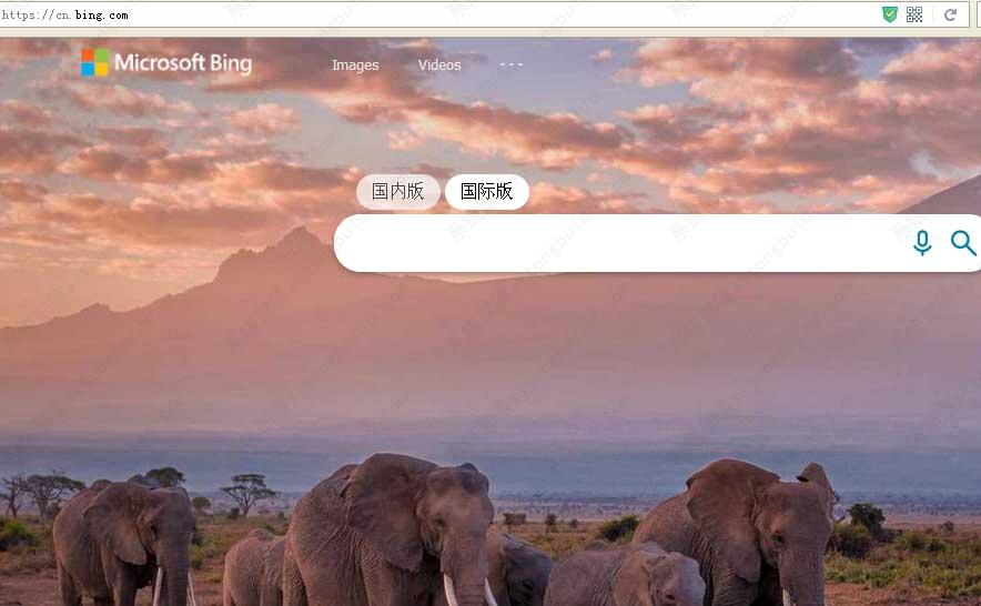 必应bing官网入口是多少 必应bing搜索入口是多少