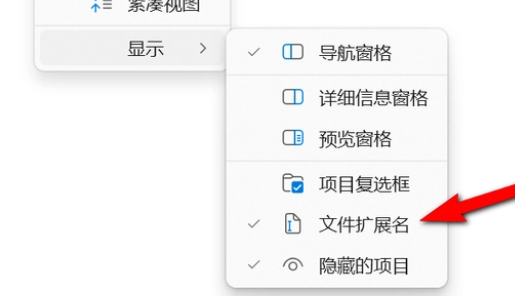 win11文件扩展名怎么显示 win11文件扩展名显示方法介绍